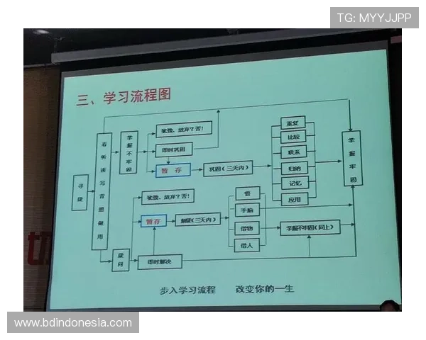 凯发登陆网会员注册流程优化建议，提升注册效率与用户体验